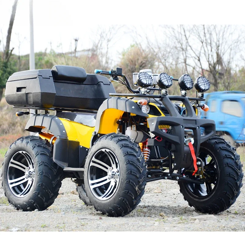 Nowy dziki duch Atv 300cc 4x4
