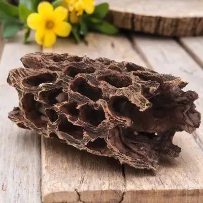 

Resin Ornaments Fish Tank Decor Small Animal Hide Cave Reptile Shelter Aquarium Landscape Terrarium Shrimp Hideout Pet