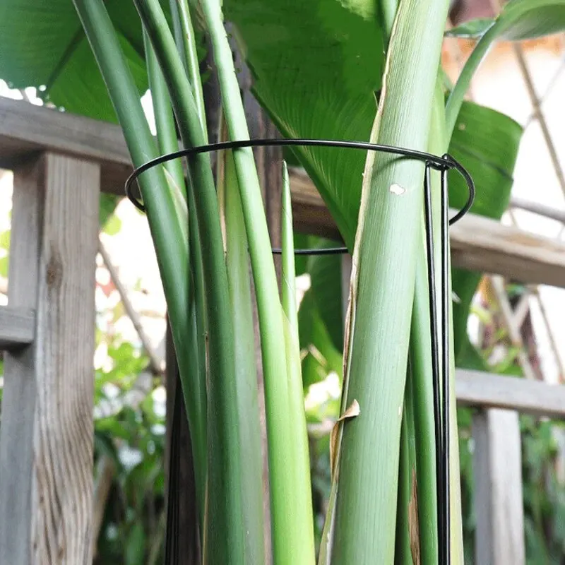 Thumbnail 4 - #11 Low Price Garden Borders & Edging Deals