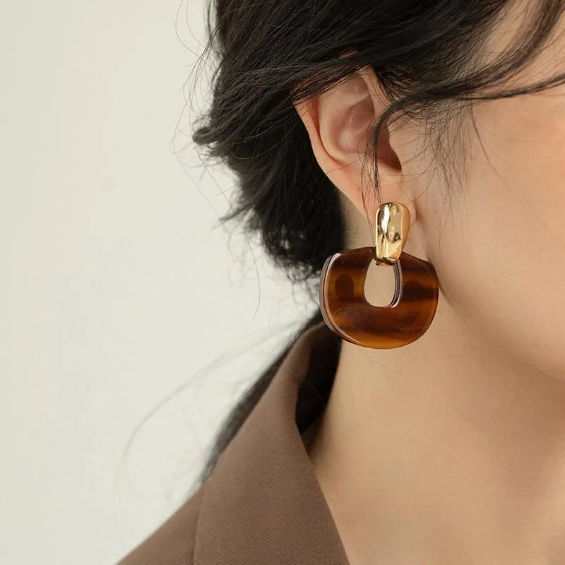 1 Pair Resin Leopard Print Earrings  Retro Marauder-style Unique Earrings