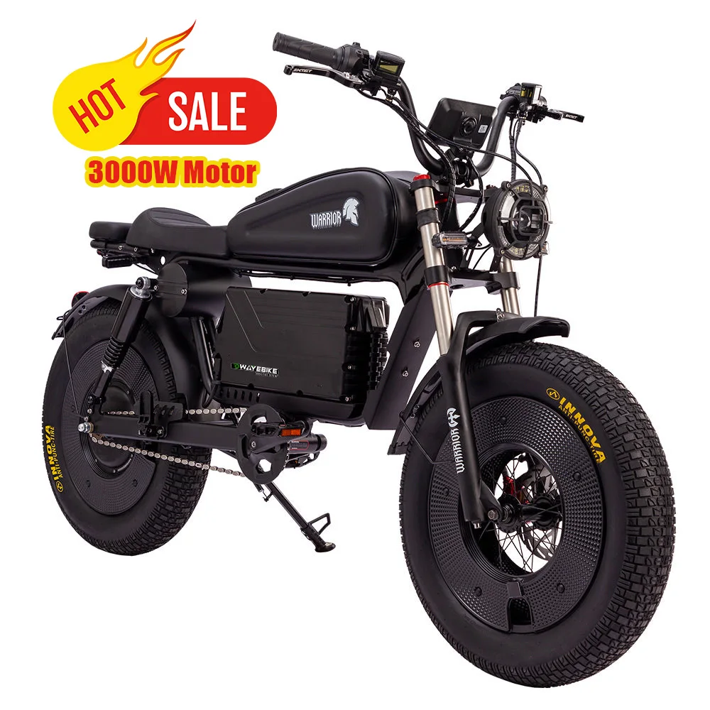 60V 48V Air Shock Electric Bike 45Ah 60Ah Big Battery 7 Speed Mountain Fatbike