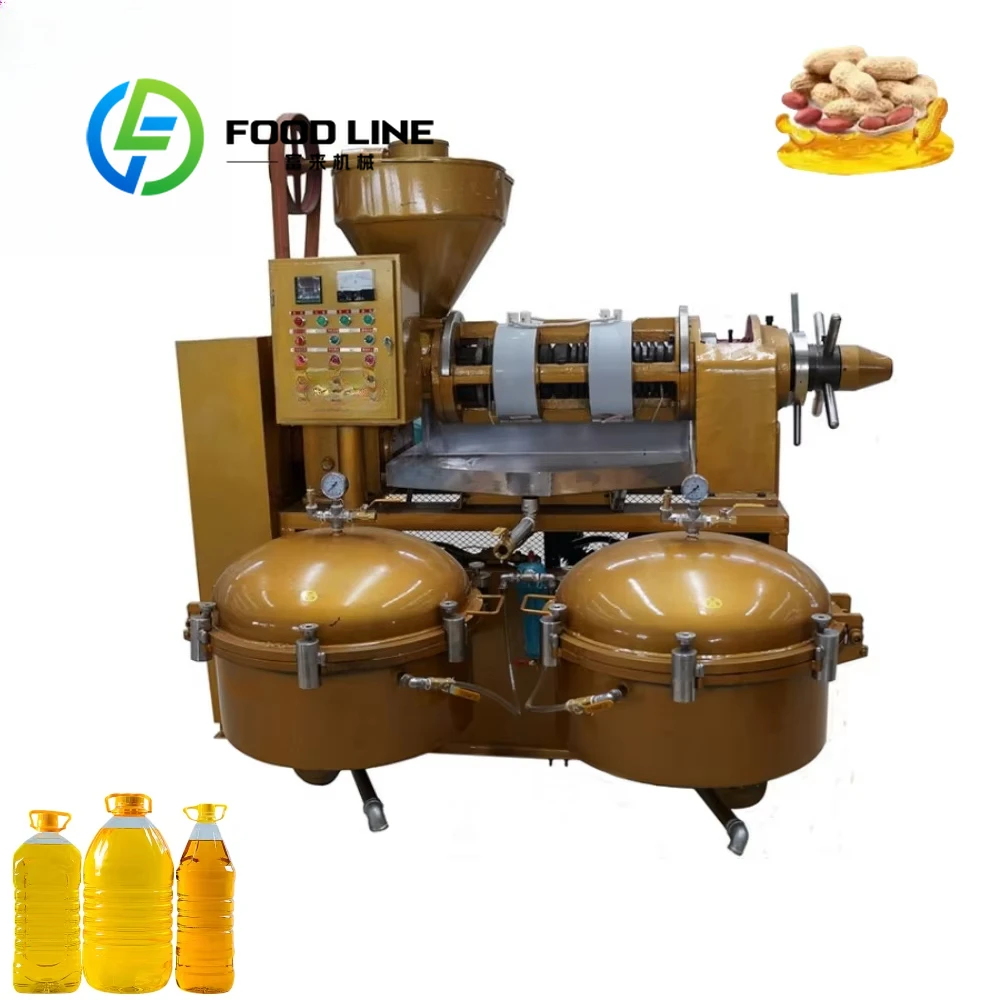 Intergrated Groundnut Oil Press Machine Sunflower Oil Processing Equipment Flaxseed Peanut Hemp Seed Oil Extraction Machine