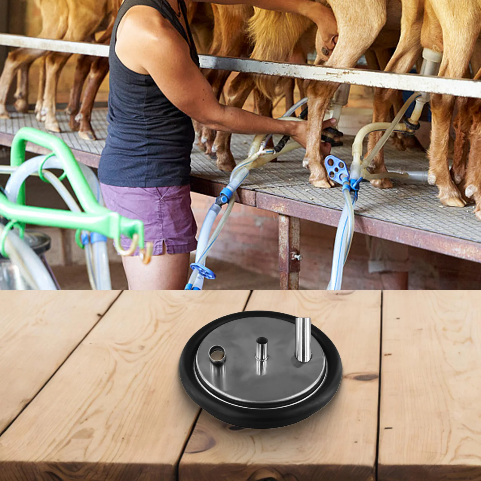 Stainless Steel Milking Machine Lid Replacement with Rubber Gasket for Small Buckets Used in Goat Sheep Cow Farming Applications