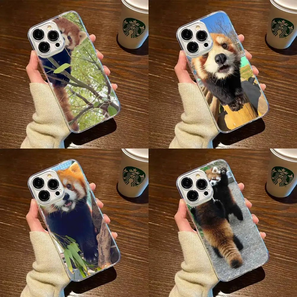 

Cute red panda Phone Case For iPhone17,16,15,14,13,12,11 Plus,Pro Max Soft Transparent Cover