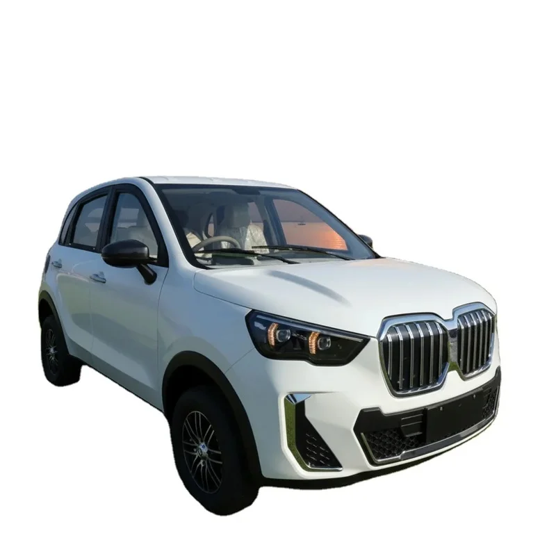 3500W Low-Speed New Energy Mobility Car,  Car, Comfortable Family EV Daily Neighborhood & City Travel