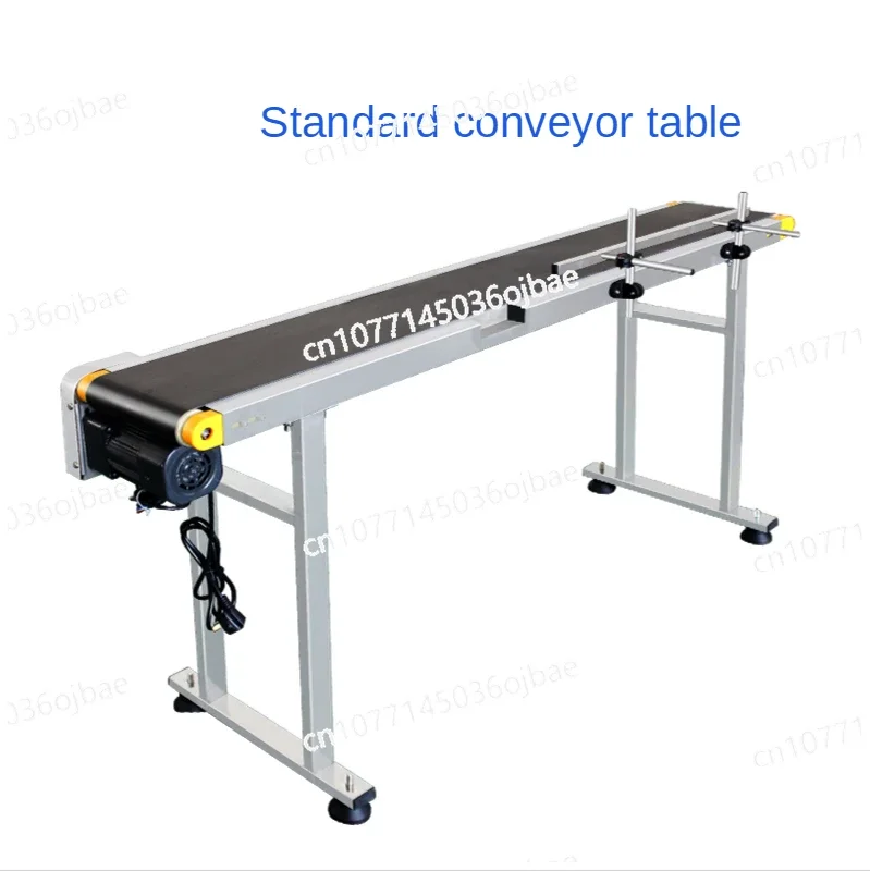 Small Belt Inkjet Conveyor Belt Printer 220V 60W Stainless Steel Conveyor Belt Machine Food and Beverage Labeling Machine