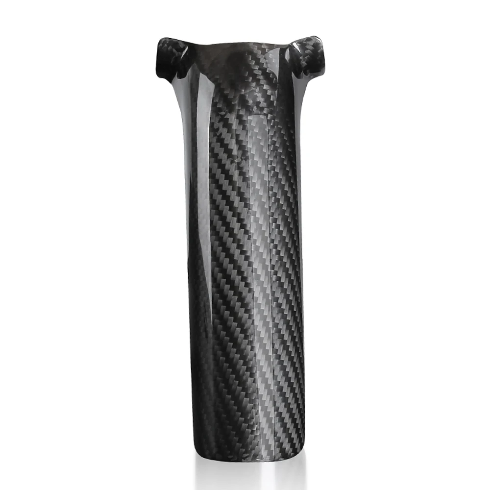 Fit for Harley V-Rod VROD VRSC Night Rod VRSCDX Muscle VRSCF VRSCAW VRSCA 2002-2017 Carbon Fiber Engine Hose Protection Cover