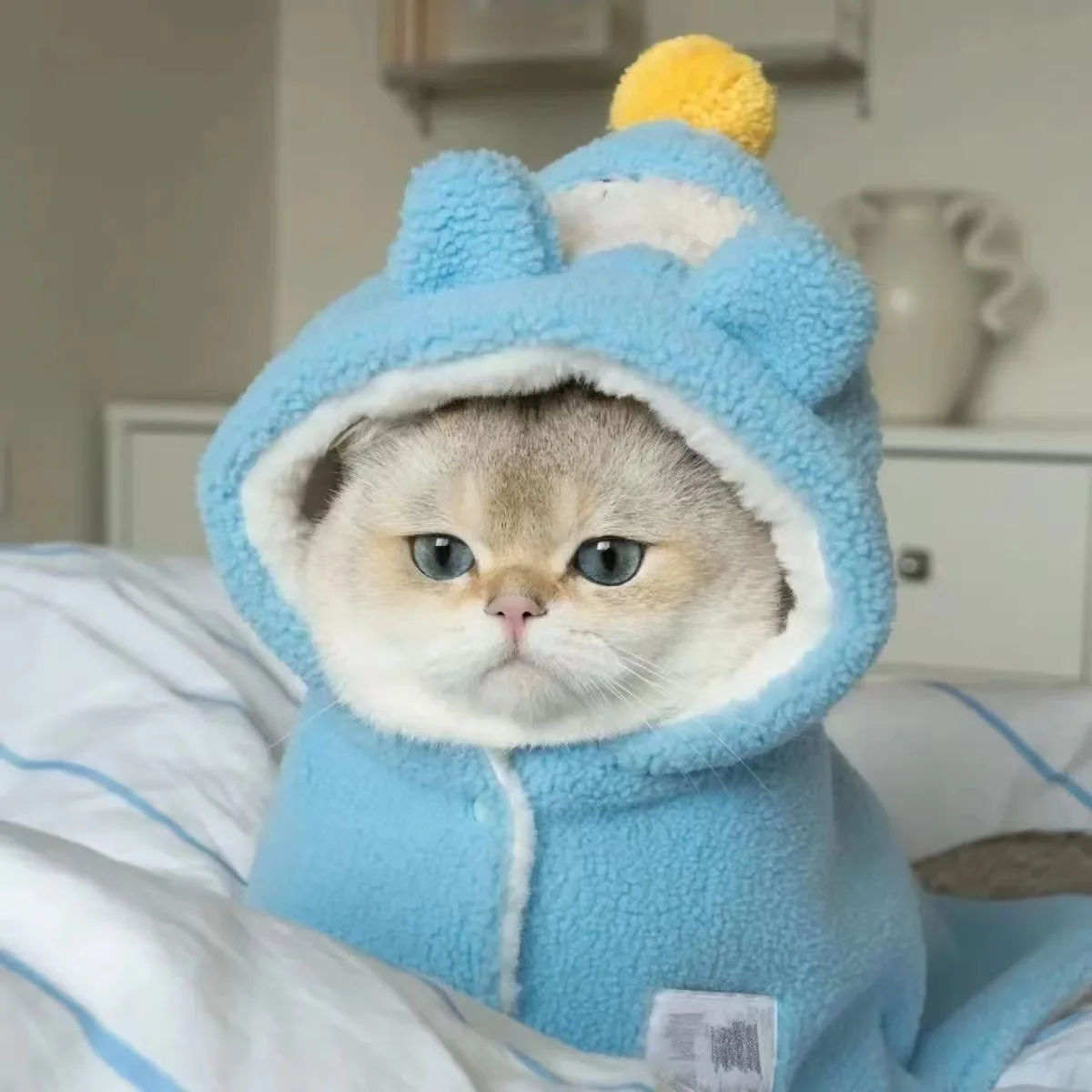 Pet Autunno e Inverno Mantello Cane Gatto Coperta di Peluche Simpatico Orsetto Pigiama Autunno e Inverno Caldo Materassino Vestiti per Cuccioli