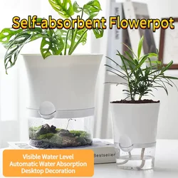 Transparent Plastic Self Watering Flowerpot Cotton Rope Automatic Suction Planter for Desk Garden Lazy Self-Absorbing Plants Pot