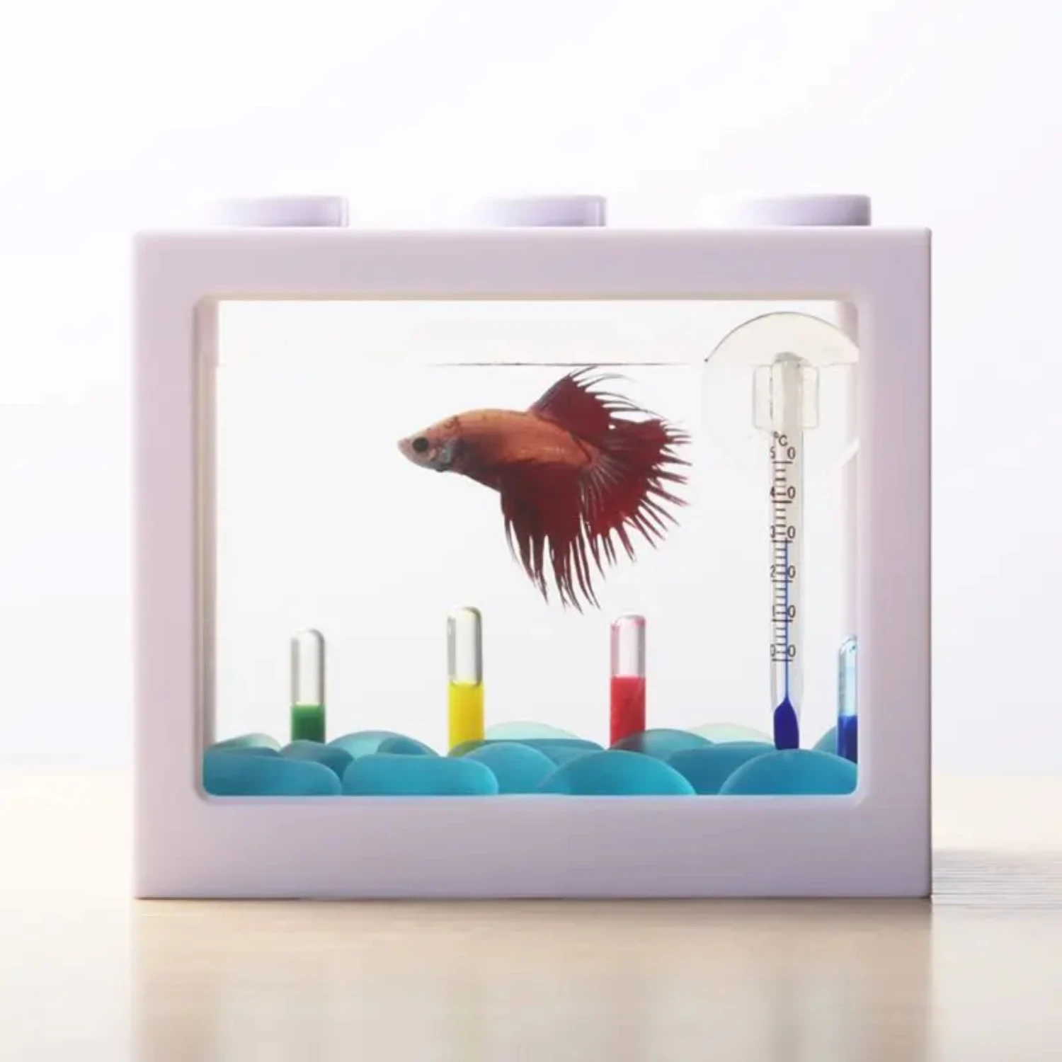 Mini acuario portátil USB, luz para pecera, cilindro de lucha de peces Betta, caja de peces acuáticos, tanque de acuario de medusas, pecera pequeña