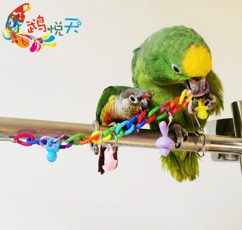 Pet Supplies Toy Parrot Toys Colorful Acrylic Bridge Cage Bird Funny Hanging Accessories Swing Toys Chain Exercise