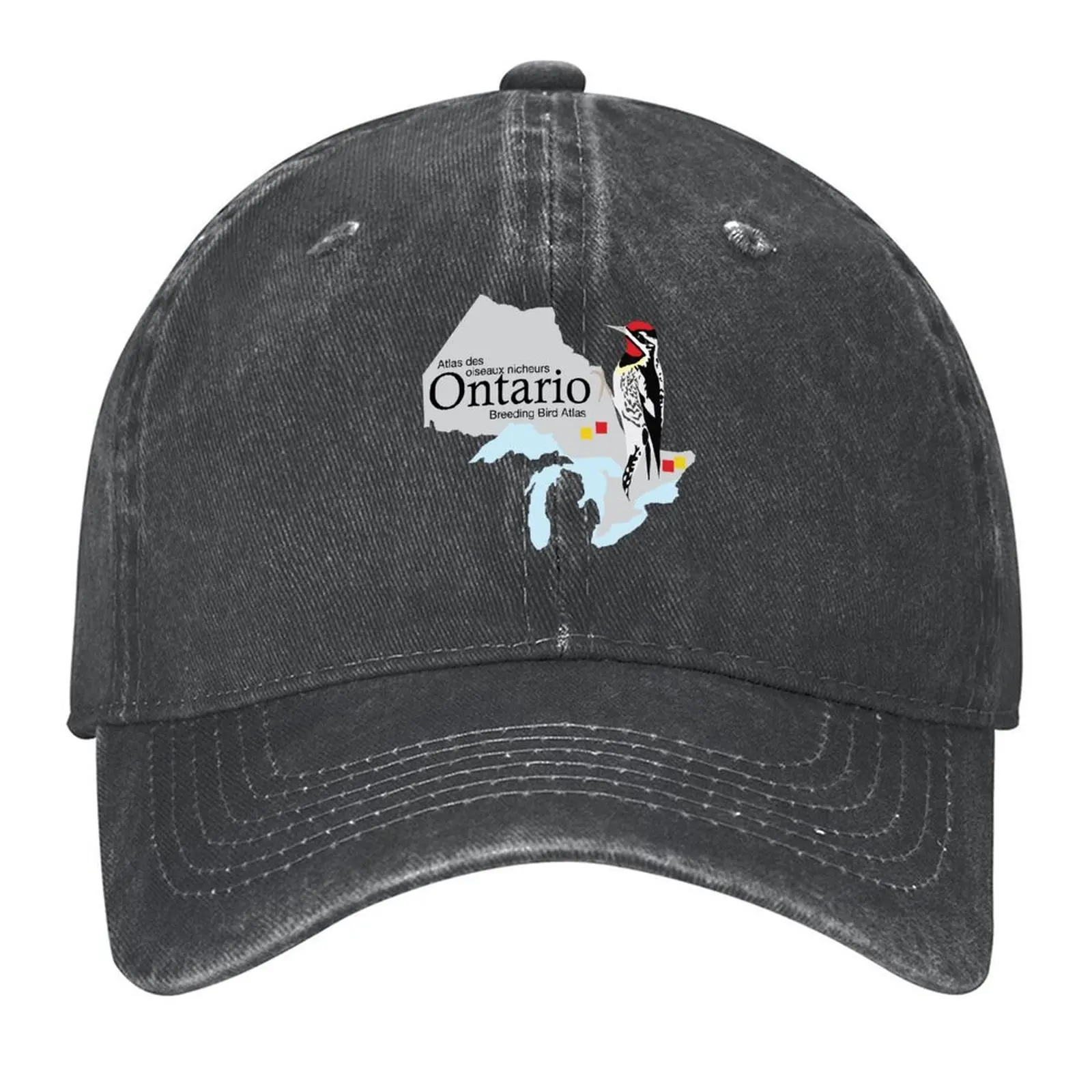 

Ontario Breeding Bird Atlas Standard Logo Baseball Cap Military Cap Man Anime Hat Rugby fun hats Boy Child Women's