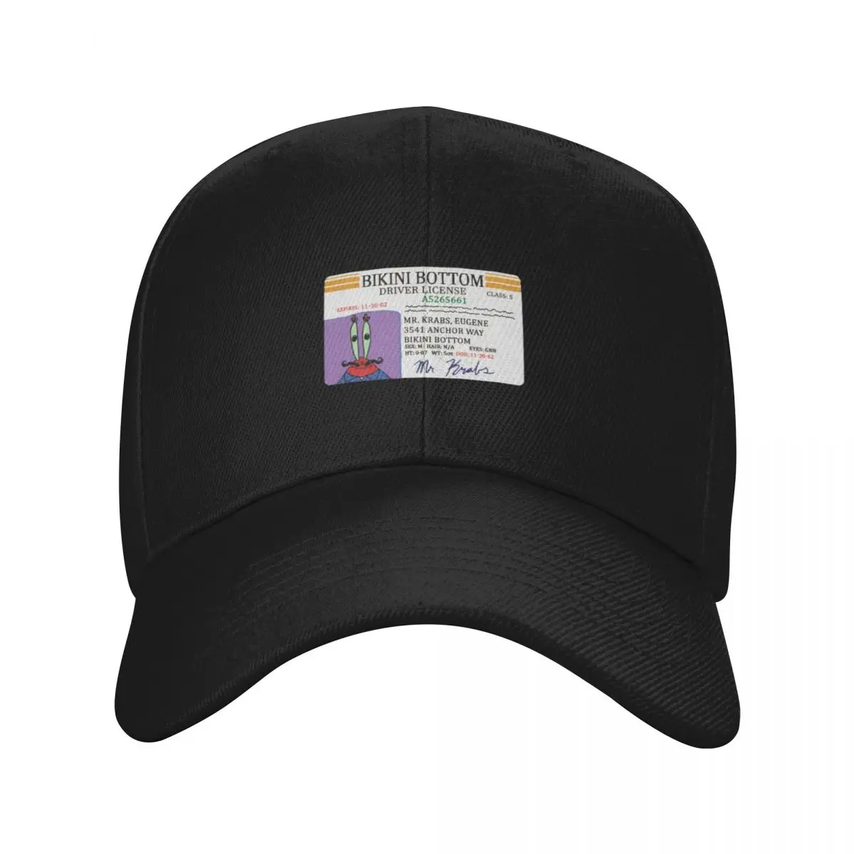 

Mr. Krabs' Boat License Baseball Cap Icon Custom Cap designer cap Women's Hats 2025 Men's