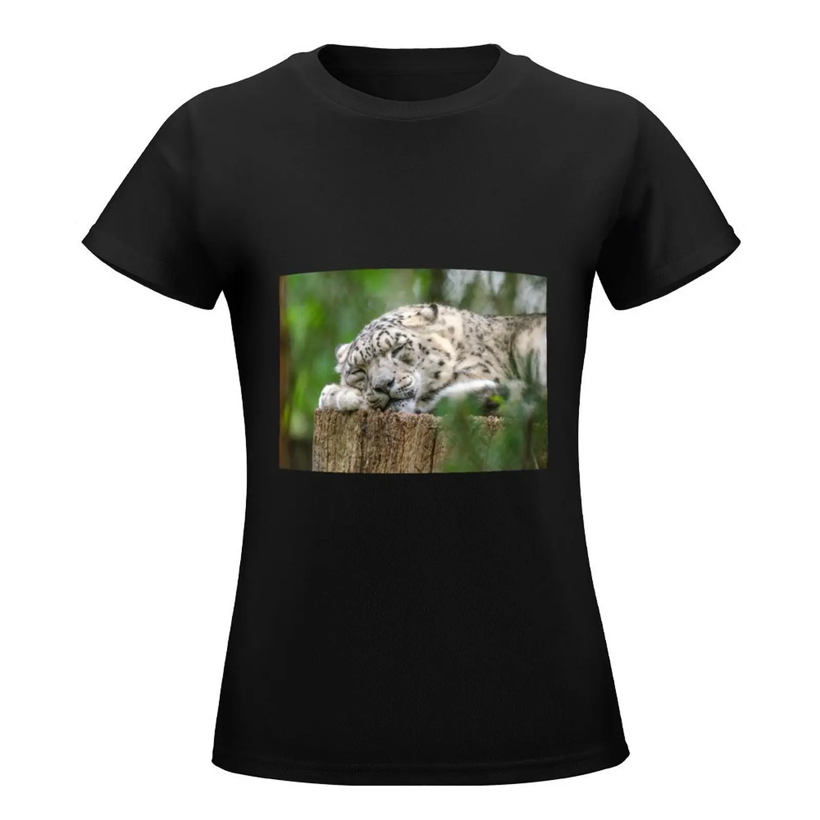 Sleepy snow leopard T-Shirt Blouse funny aesthetic clothes workout t shirts for Women