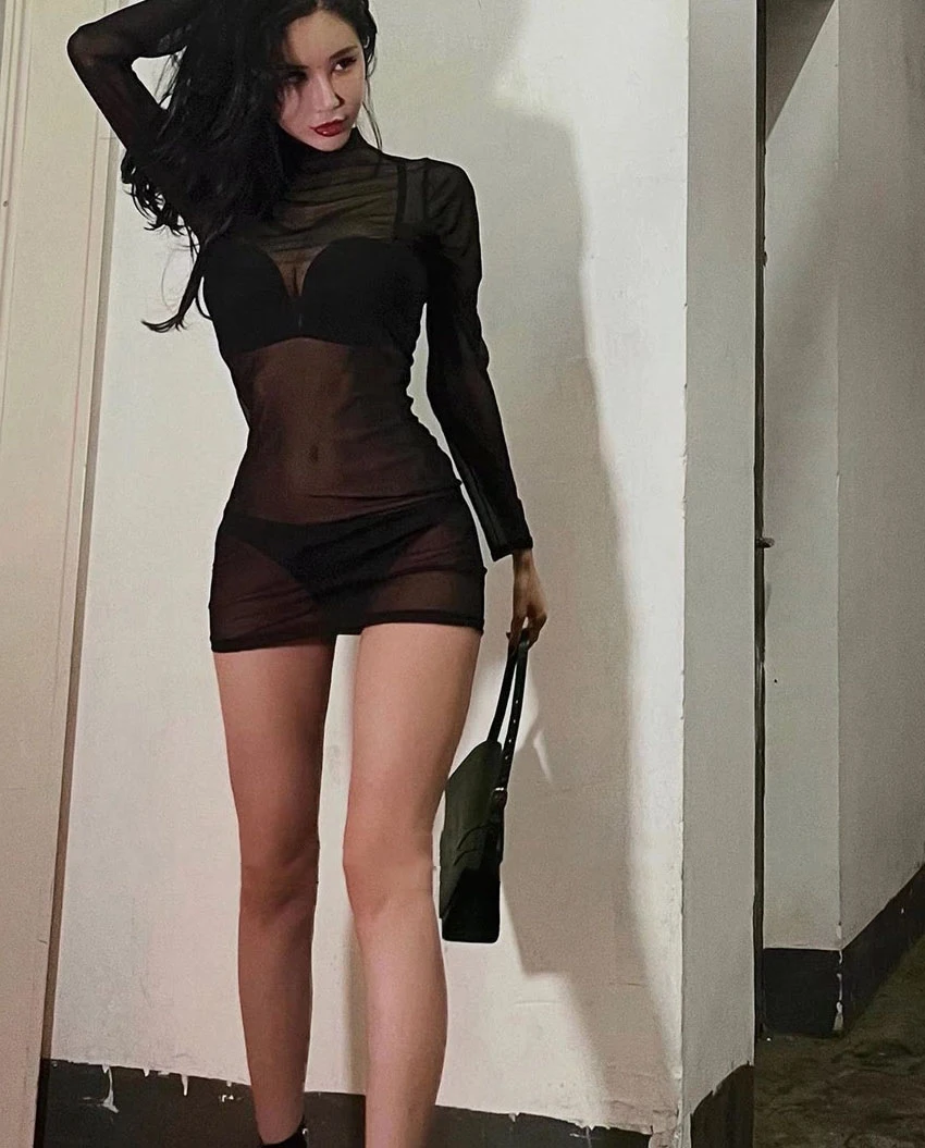 Doorzichtige sexy jurk met ronde hals, slanke pasvorm en basisrok met dunne mesh, zwart dames