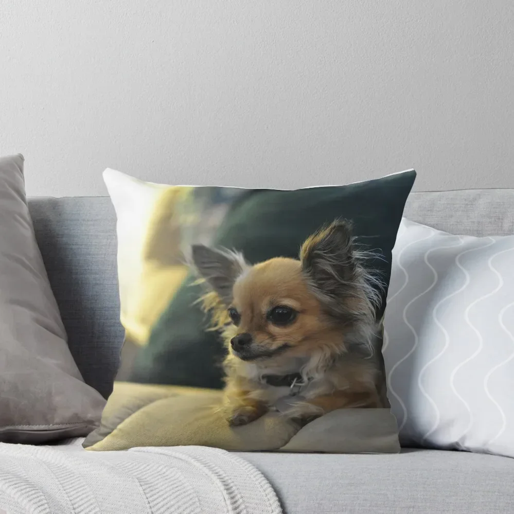 Long Haired Chihuahua Throw Pillow bed pillows autumn pillowcase Room decorating items Pillow