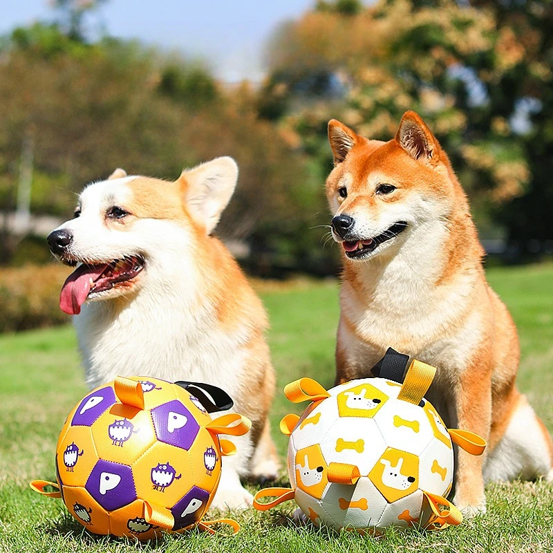 Pet Toy Ball Dog Outdoor Toy Grinding Teeth Bite Resistant Sound Inflatable Football Pet Dog Training Wholesale Pet Supplies