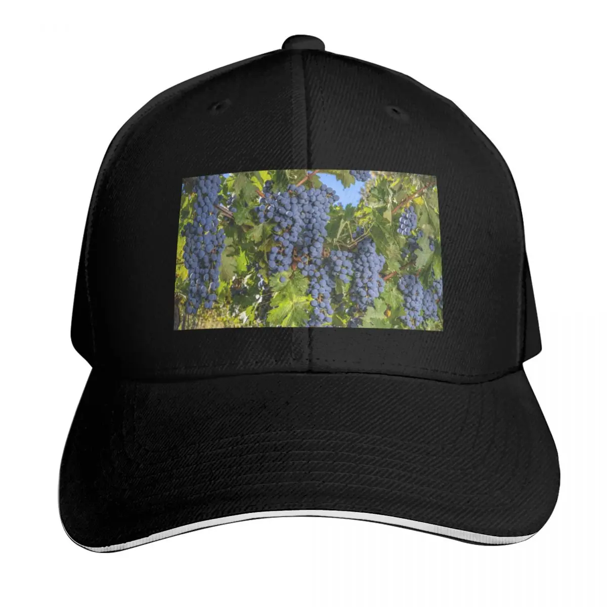 Gorras de béisbol Cabernet Sauvignon Bounty en oferta, gorra de camionero, gorra de golf, gorra de lujo, gorra de béisbol para hombre y mujer
