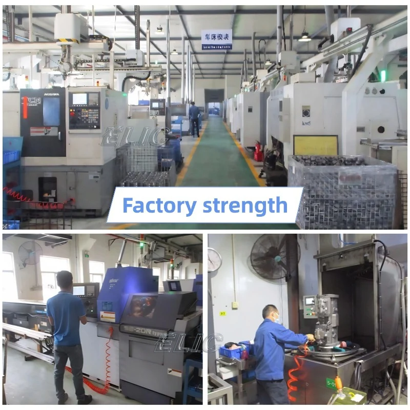 ELic Excavator Hydraulic Pump A4VG28 A4VG56 A4VG71 A4VG 71 A4VG85 A4VG90 A4VG180 A4VG110 A4VG125 A4VG175   Piston Pump