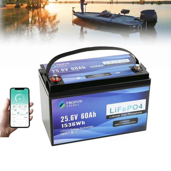 Porpow Deep Cycle Marine Trolling Motor Battery LiFePO4 24V 60Ah Lithium Battery