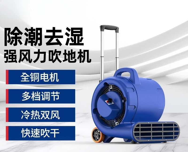 Blower Commercial Floor Blow Dryer Household Floor Hotel Toilet Powerful Dehumidification Hair Dryer