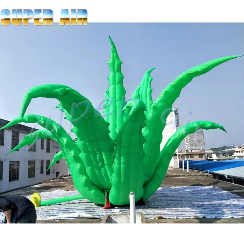 Souffleur gratuit de 8m de diamètre, herbe gonflable d'aloe vera, modèle de plante debout pour la décoration de fête