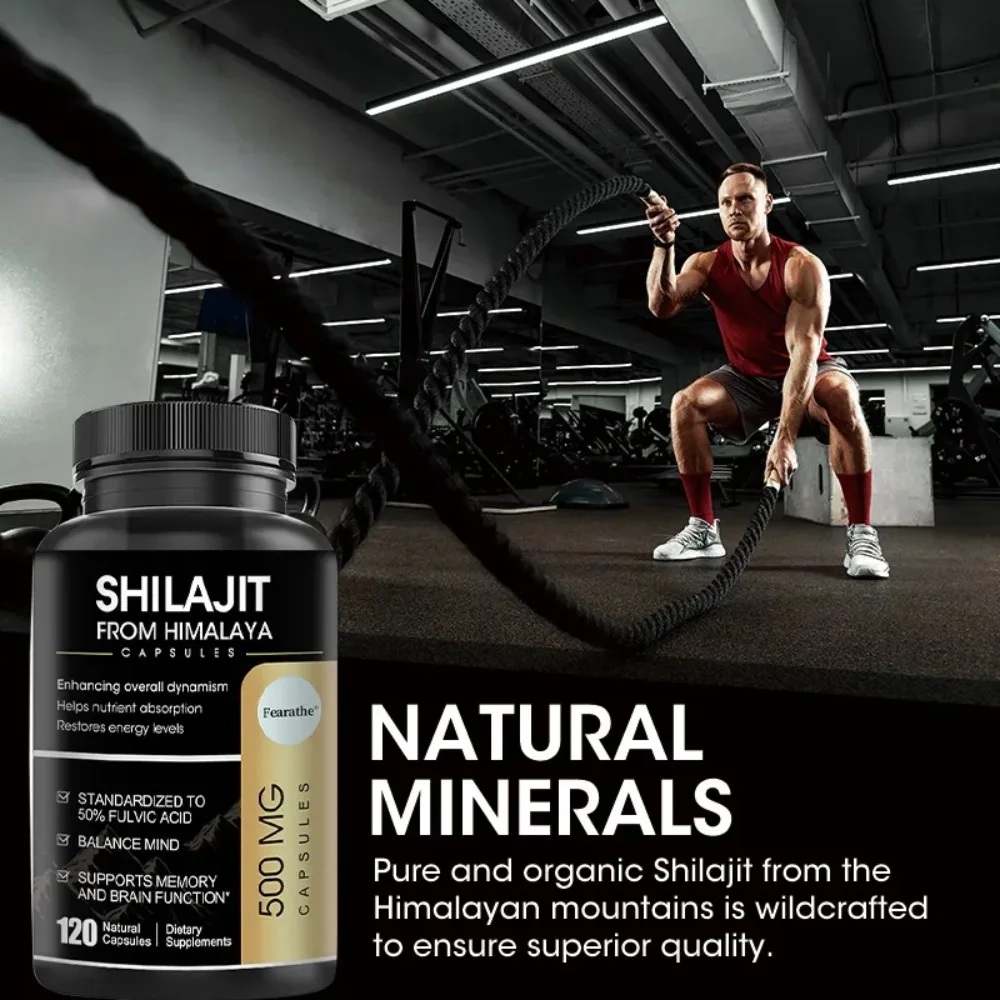 Shilajit & Ginseng Supplement - Increase Strength, Endurance, Energy, Muscle Growth, and Regulate Brain Activity