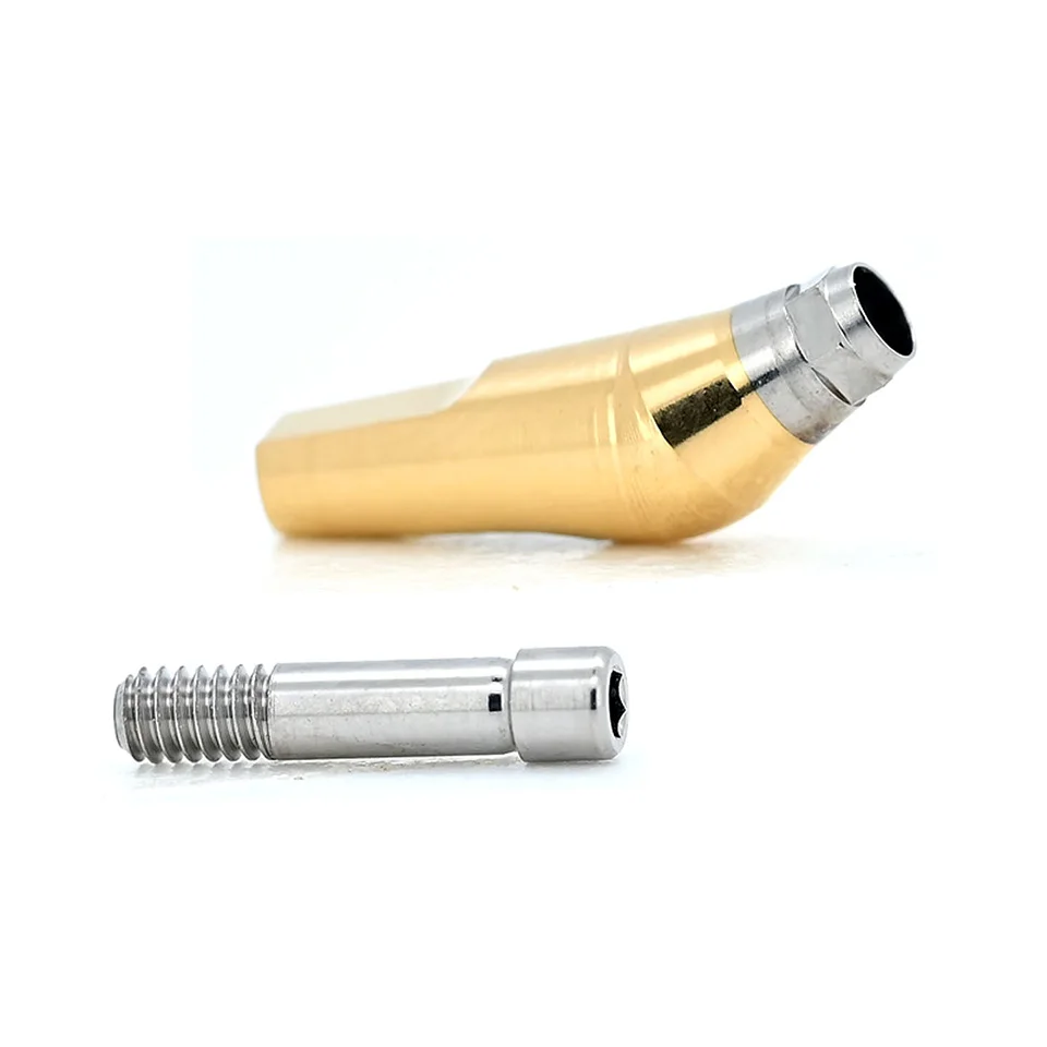 For Dentium Dental Angled Abutment Titanium Implant Abutment 15 25 Degree Pre-Milled Custom Abutment Lab Material 10Pcs/Set