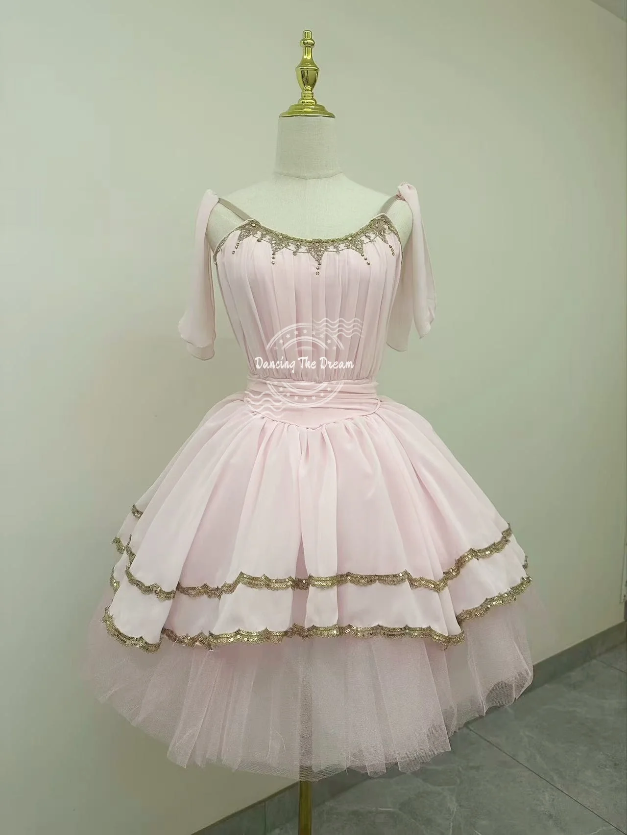 

Pink Tulle Ballet Dress with Gold Trim and Draped Sleeves Dreamy Pink Tulle Ballet Gown with Gold Trim and Flowy Sleeves