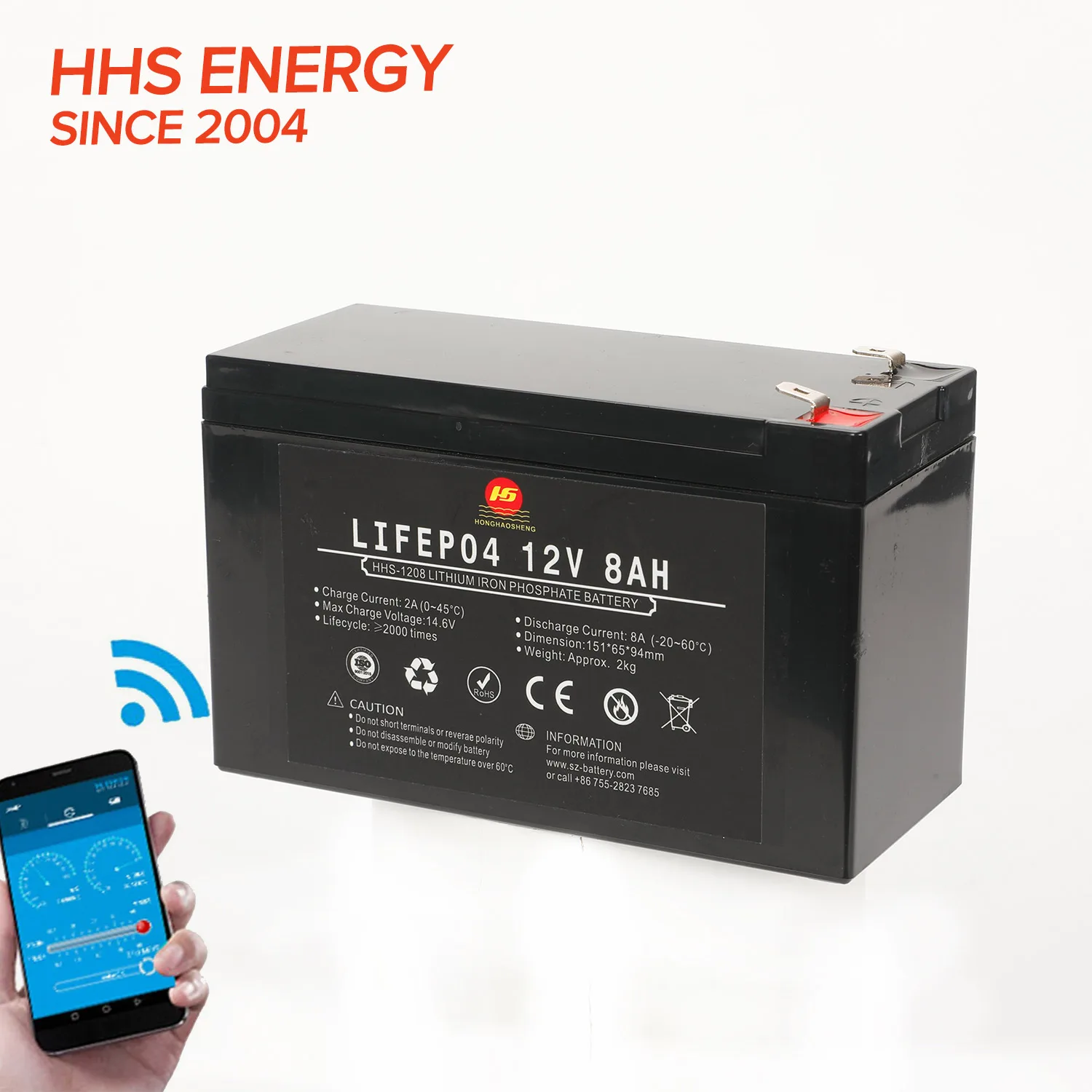 Customized 12v 24v Yacht Lifepo4 Battery 100ah 200ah Lithium Ion Batteries Pack for Yacht