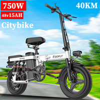 LAFLY L20 Electric Bike 750W Brushless Motor 48V15AH Lithium Battery City Fold Eike 14 in Tire Aldult Mountain Electric Bicycle