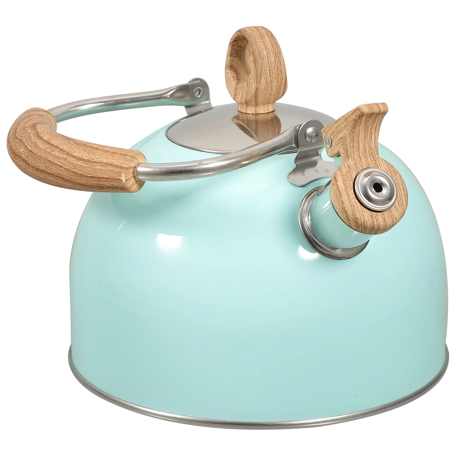 

Stainless Steel Whistling Kettle Boiling Pot with Insulated Handle Induction Gas Tea Cooking Heat Resistant Easy Clean for Home