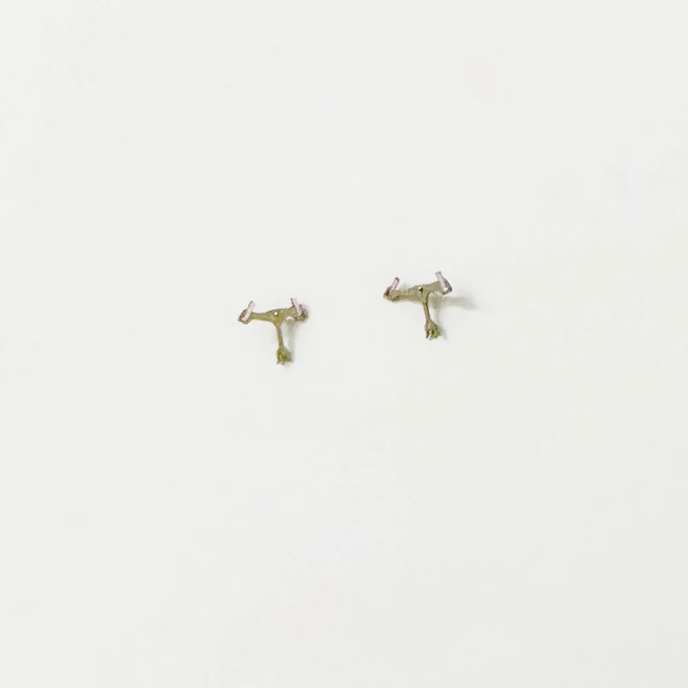Mechanical Watch Movement Accessories Escapement Fork Suitable for 6309 Movement Horse Fork Repari Parts