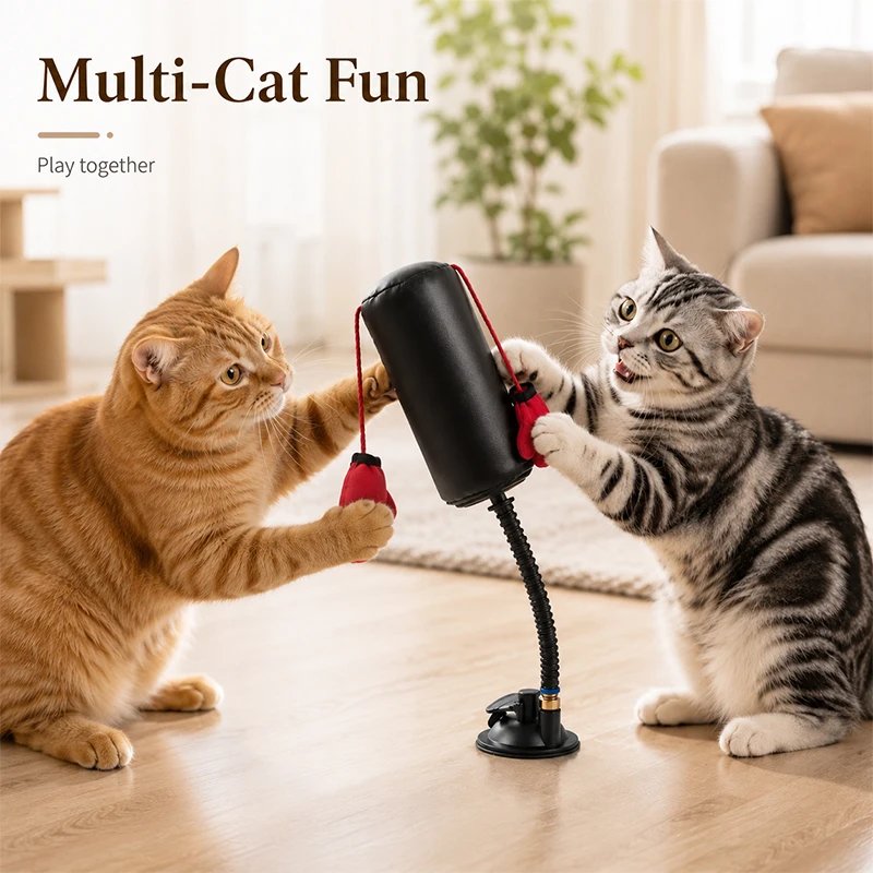 Katzen-Boxspielzeug, multifunktionales Unterhaltungsspiel für Katzen zum Boxen und zur Selbstentspannung, interaktives Katzenspielzeug, Spaß- und Entspannungsspielzeug