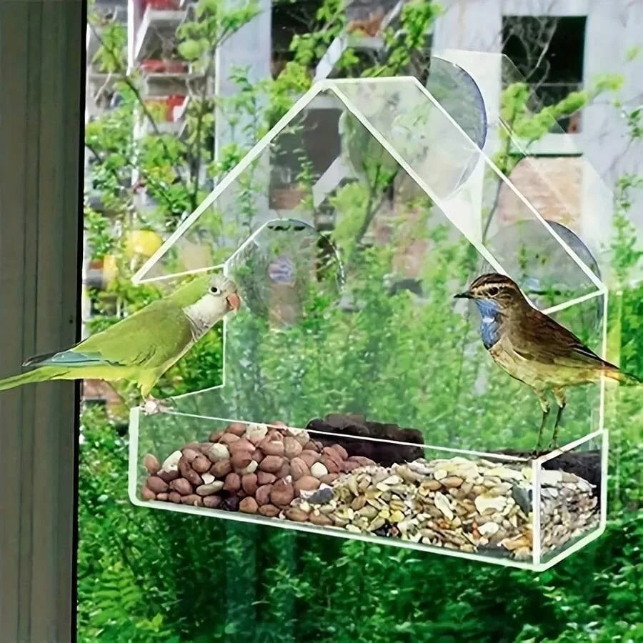 

【New style】Transparent Easy-To-tall Suction Cup Bird Feeder - No Drilling Required To Hang On The Wall, Suitable For Indoor/Out