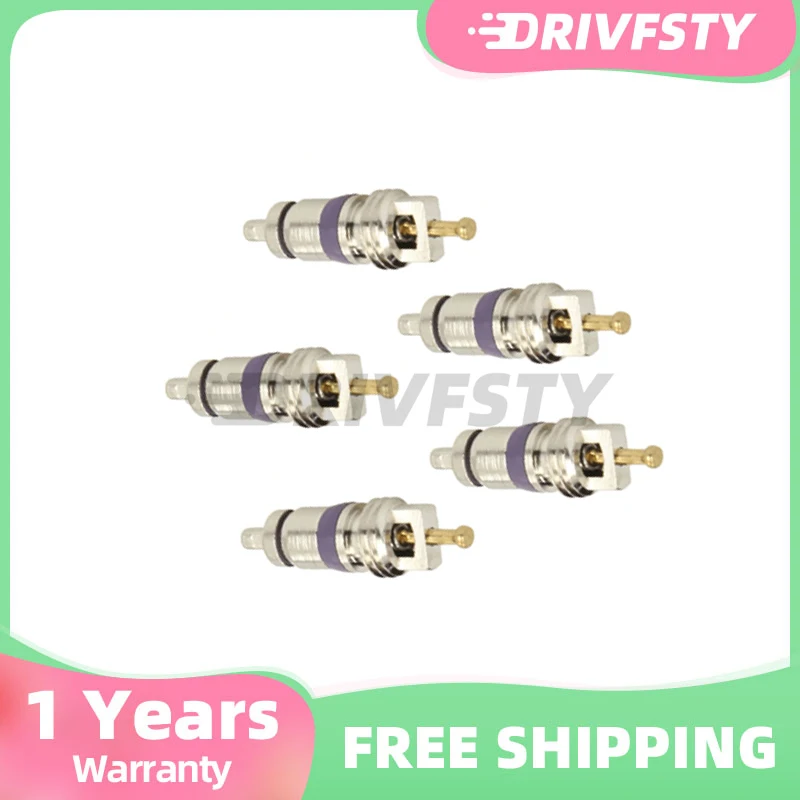 

OEM 8E0820855 High Quality Euro Large Bore A/C Schrader Valve Core Fits For VW Audi Mini Benz BMW 64536922944 0008320285