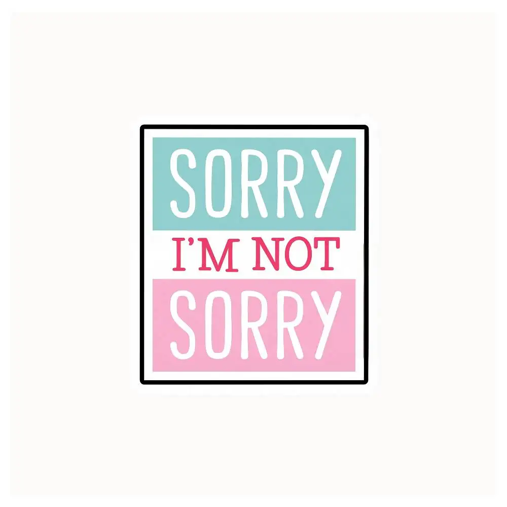 Sorry Not Sorry Sticker Waterproof Helmet Flask Cup Laptop Car Vehicle Window Bumper Decal