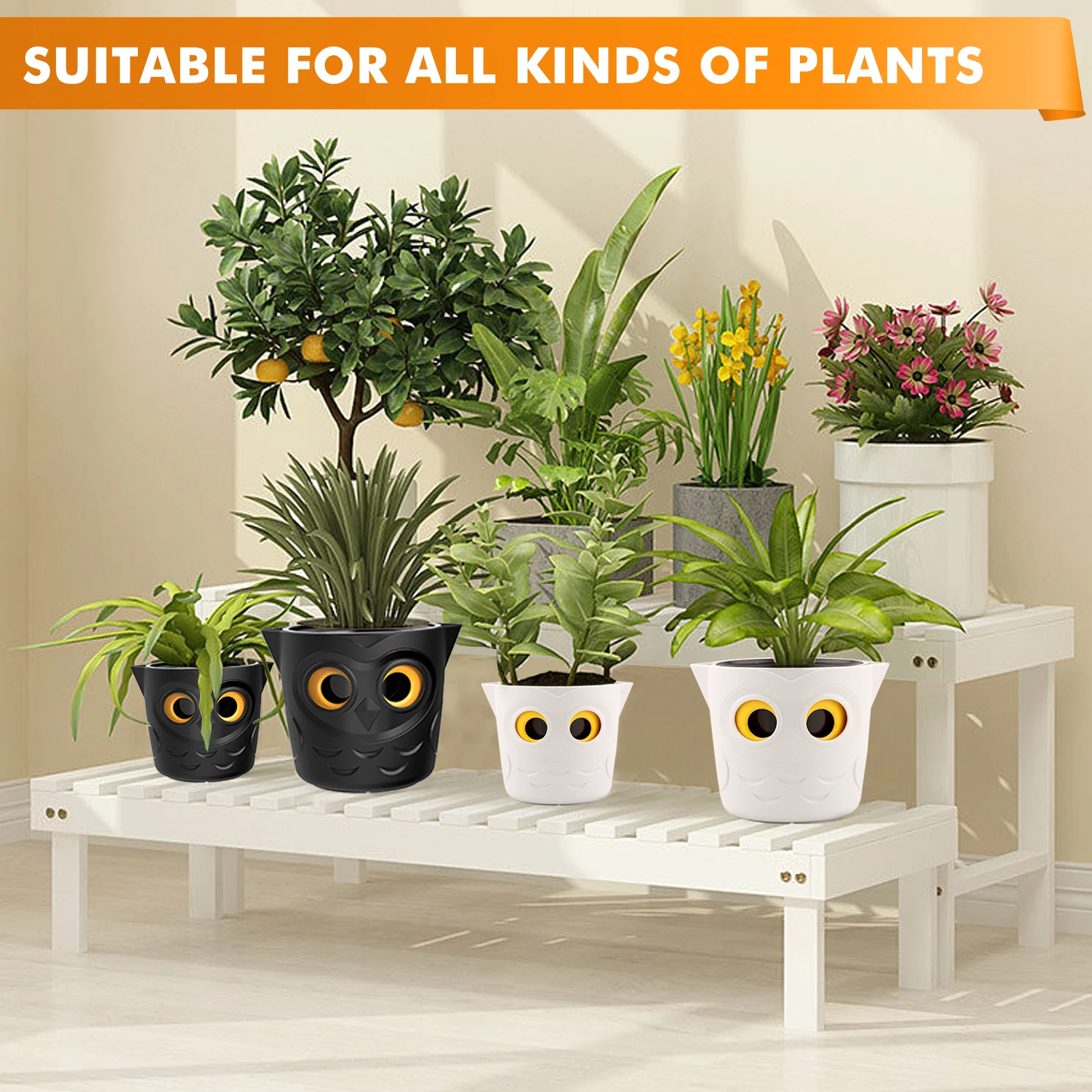 yZ[zRestmo Aؔ 6 pbNAtNE̖ڐʃCWP[^[tAp 4 C`Uv^[A킢Aؔ