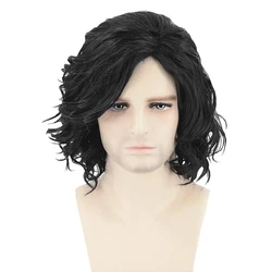 HAIRJOY Jon Snow Cosplay Wigs for Men Women Heat Resistant Fiber Synthetic Hair Curly  Anime Wigs