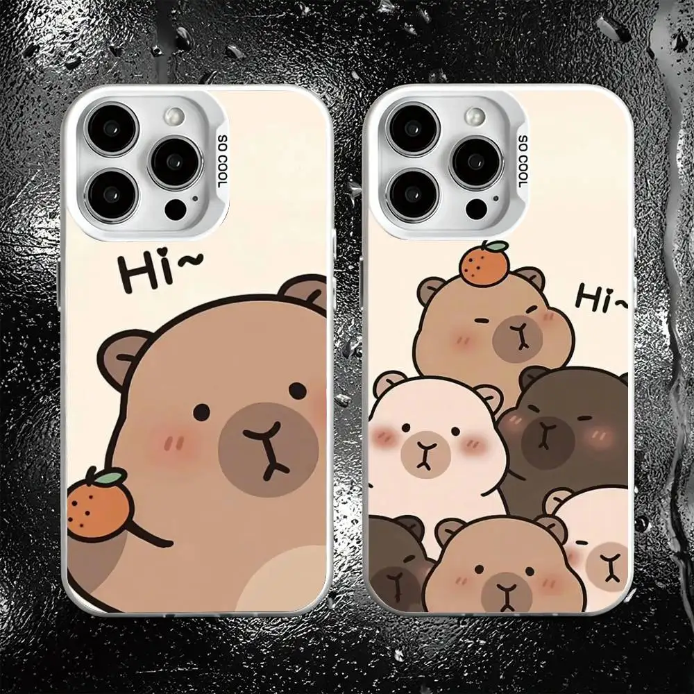 

Cool Cartoon Capybara Phone Case For iPhone 17,16,15,14,13,12,11 Plus,Pro Max,XS,Colorful Silver White Cover