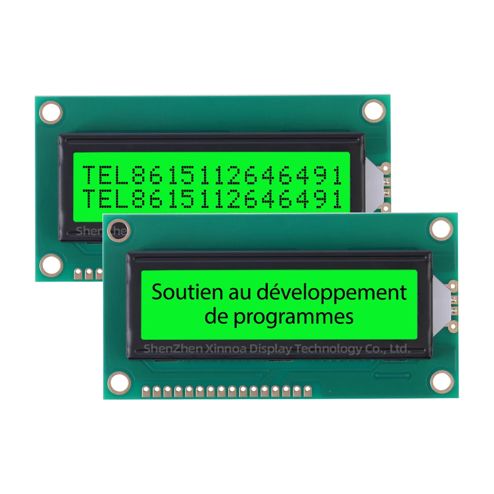 Sviluppo dello schema di supporto del modulo di interfaccia a doppia fila 02*16 LCD grey Film Blue Letters Display a cristalli liquidi europeo 1602 c2