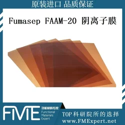 AEM-Fumasep FAAM-20 Anion Exchange Membrane Resin FuMA Tech
