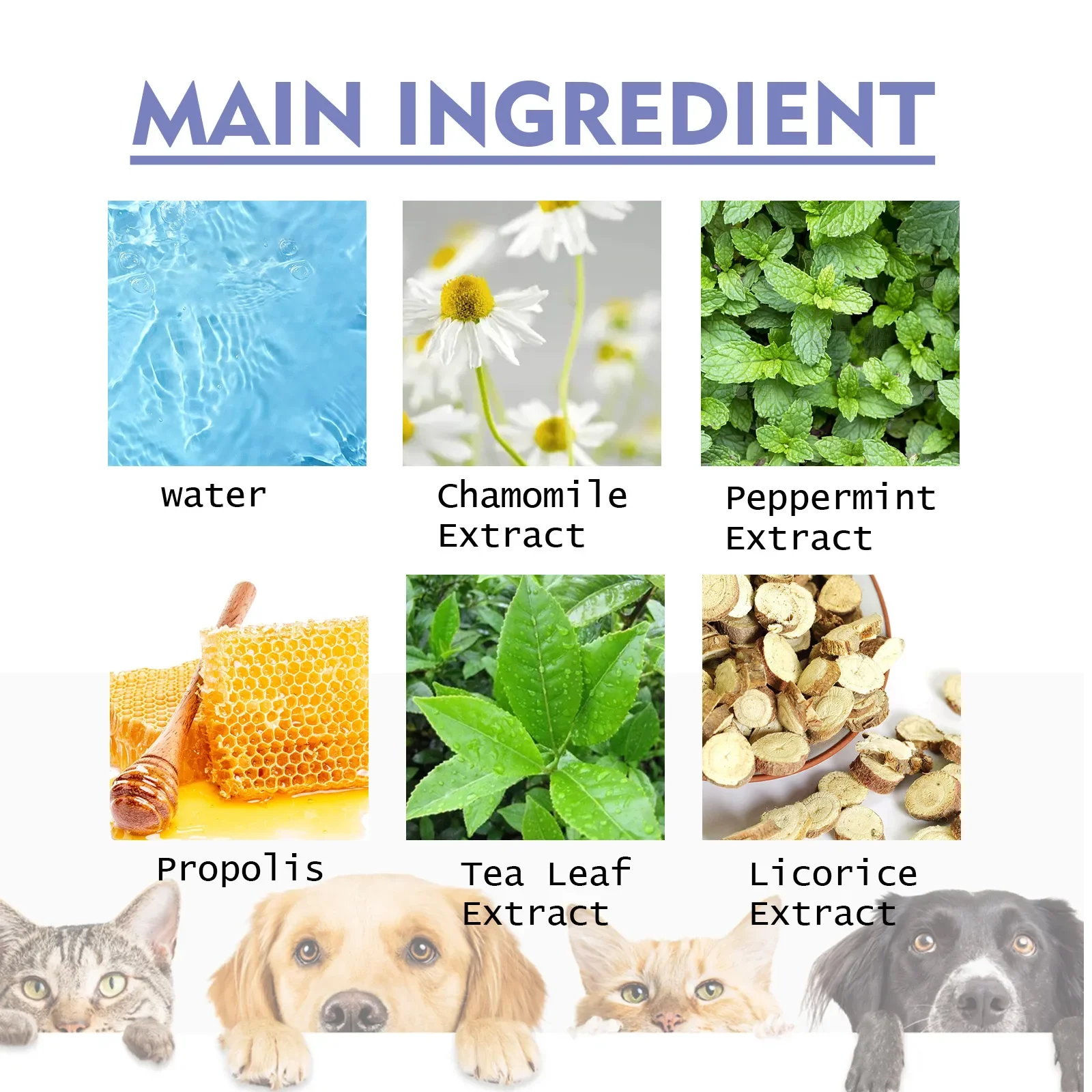 50mlPet Oral Cleanse Spray Dogs Cats Teeth Clean Deodorant Prevent Calculus Remove Kitten Bad Breath Pet Supplies Freshen Breath