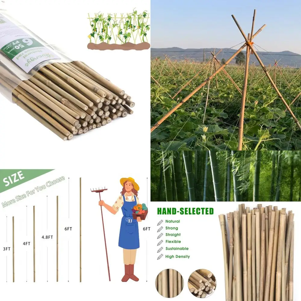 

Бамбуковые садовые колья высотой 6 футов, упаковка 50 шт., идеально подходят для помидоров, фасоли, овощей, цветов, горшечных растений, использования в помещении и на открытом воздухе