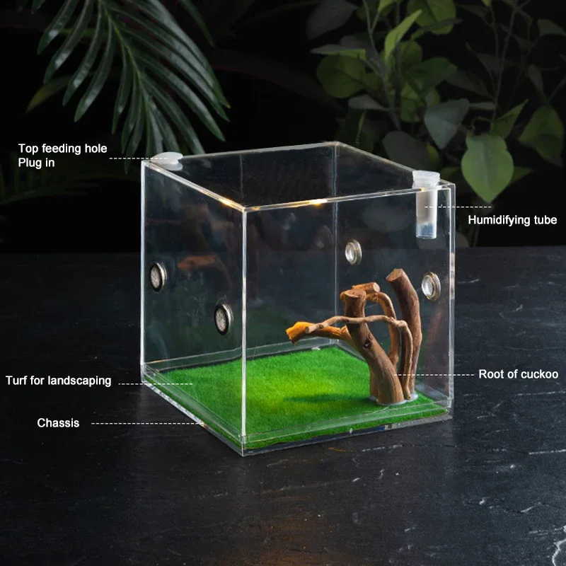 Acrylic Singing Insect Breeding Box Insect Jumping Spider Small Reptile Acrylic Ecological Breeding Box Ornamental Decorative