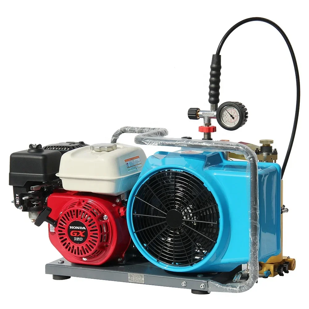 Sales 300bar Electric Petrol Diving Equipment Scuba Portable 250l Compressor Air Compressor for Diving