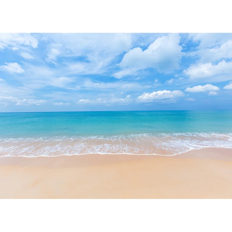 ZHISUXI Summer Tropical Palms Tree Sea Beach Photo Background Scenic Photography Backdrop Photocall Photo Studio 21414XHF-02