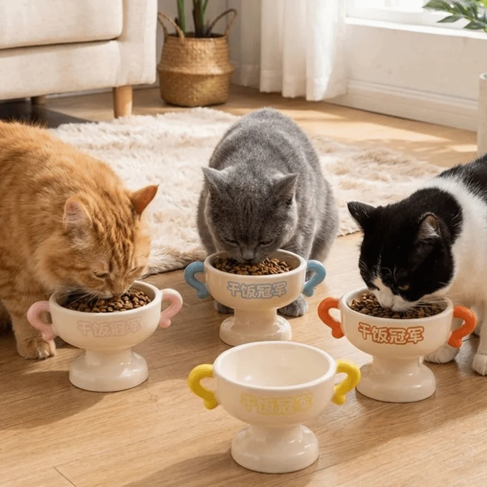 

Elevated Cat Food Water Bowl Large Capacity Non-Slip Base Ceramic Pet Bowl High Feet Stable Cat Feeder Dish