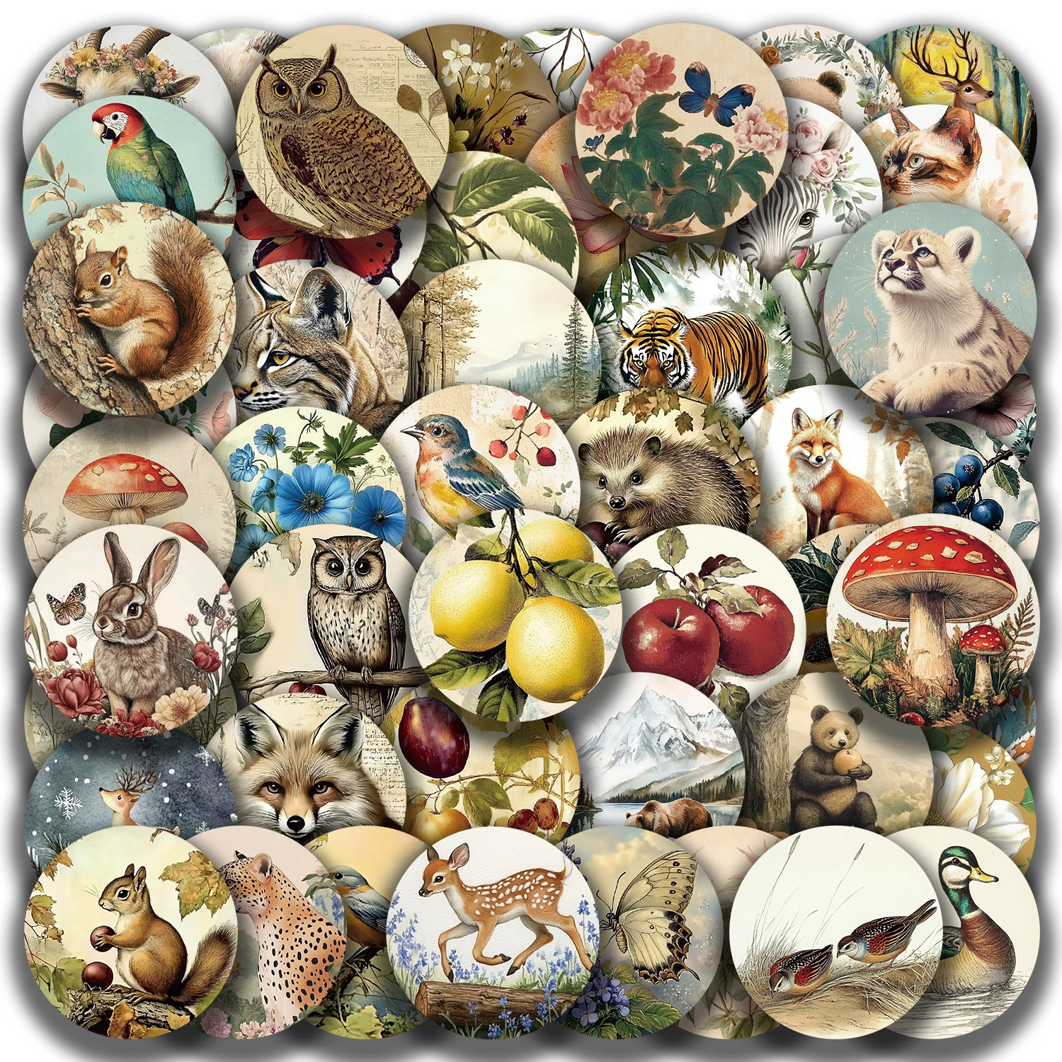 50pcs Animal Forest Graffiti Decoration Stickers Tiger Squirrel Fawn Animal Collection Decals For Laptop Water Bottle Suitcase