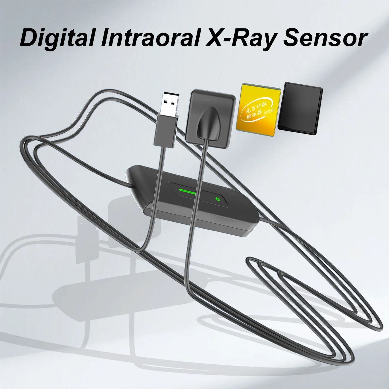 2 year Warranty Dental Sensor With Holder Faster Durable USB Dental X Ray Sensor Intra Oral Camera Digital RVG Sensor